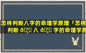 怎样判断八字的命理学原理「怎样判断 🦟 八 🦅 字的命理学原理和方法」